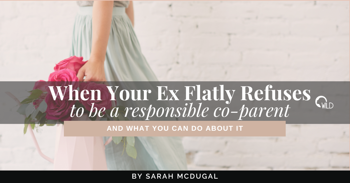 ex divorce custody coparent irresponsible